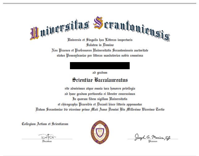 Undergraduate Diploma