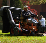 lawn