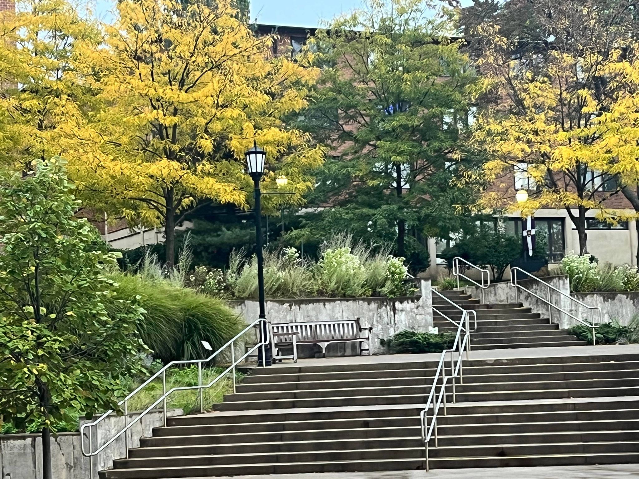 Picture of Campus