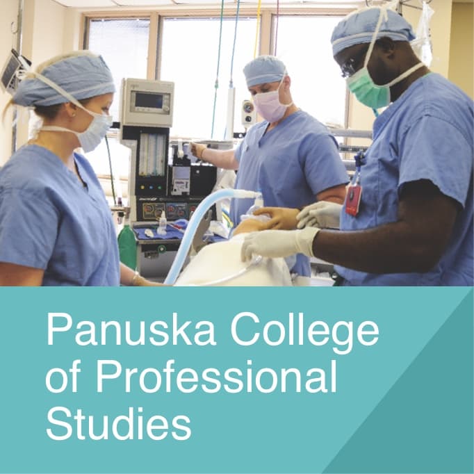 Panuska College of Professional Studies