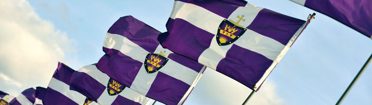 university-flags.jpg