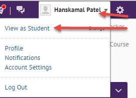 Click profile name and click view as student