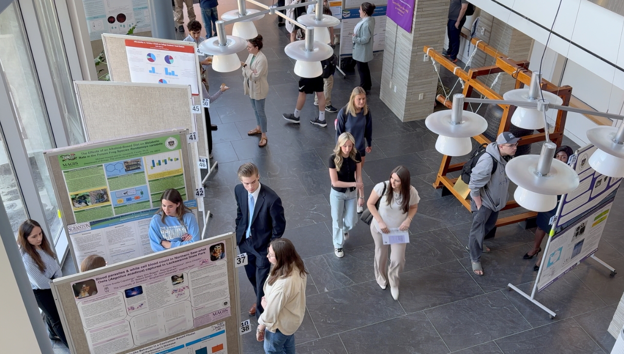 Main lobby photo COSS