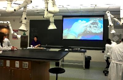 Anatomy Lab