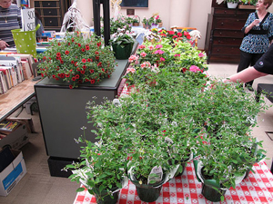 Books and Plant Sale
