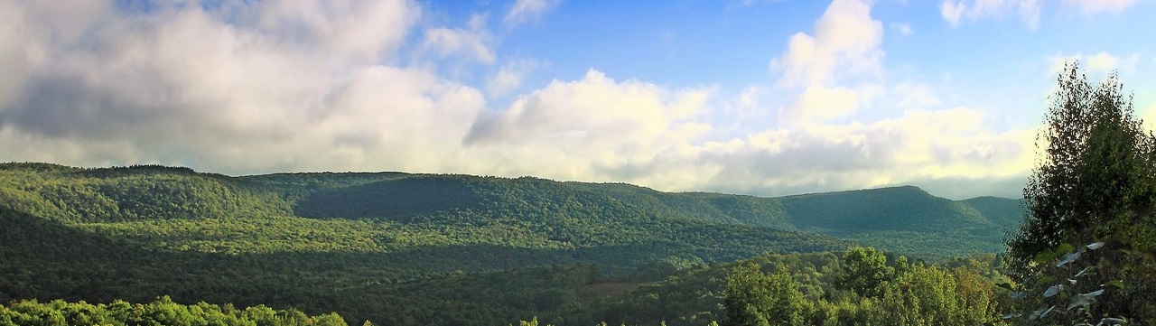 Photo of mountains and trees similar to landscape in northeastern Pennsylvania.