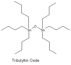 TBTO