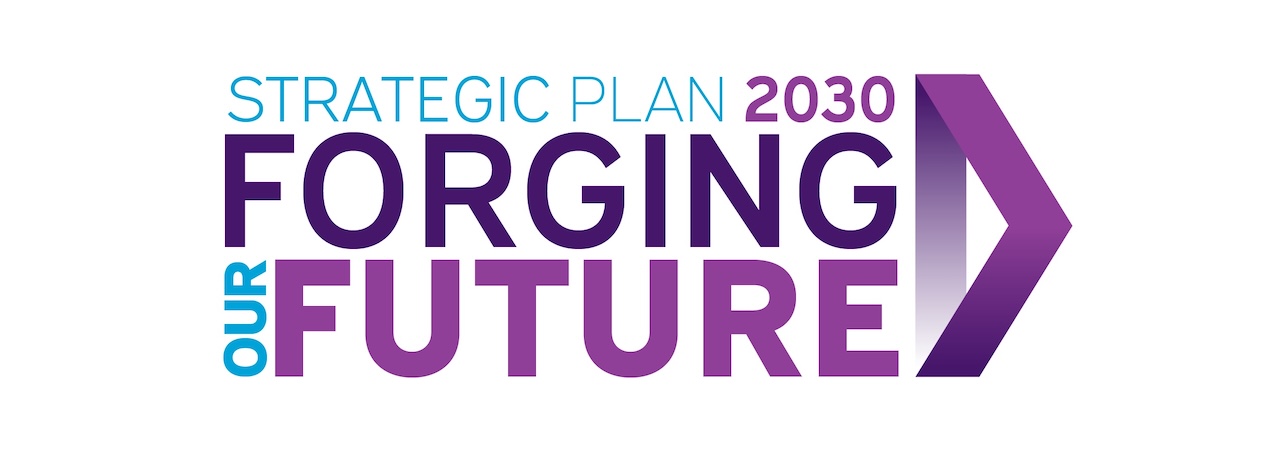 Strategic Plan 2020 banner